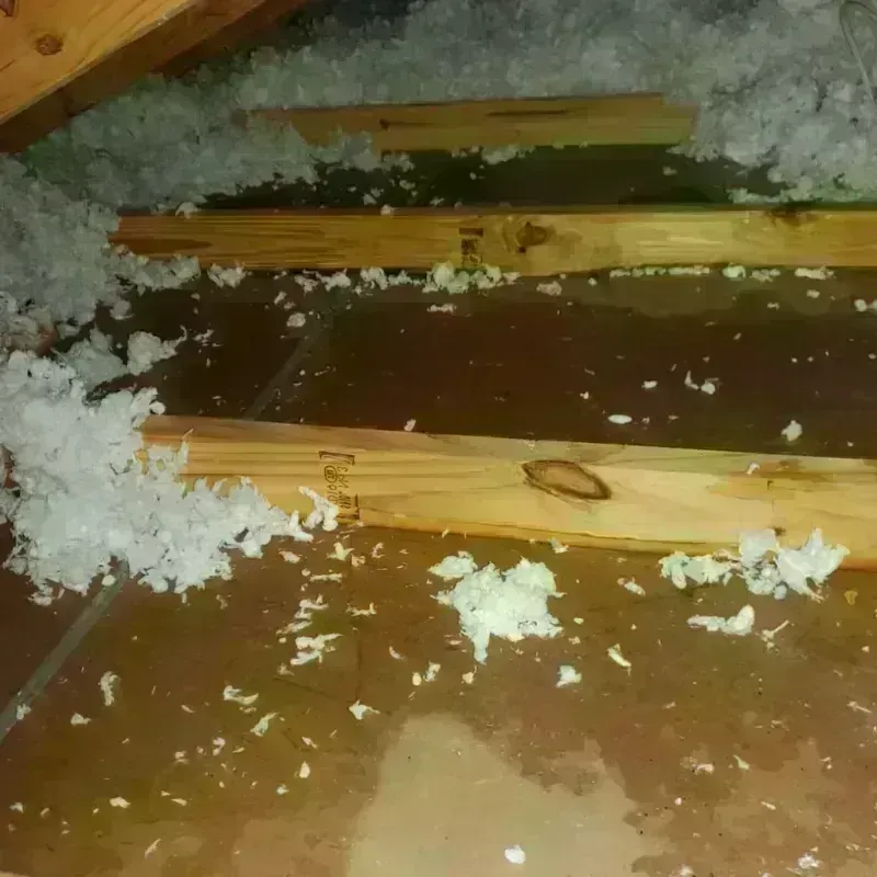 Attic Water Damage in Brownsville, KY